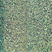Patina